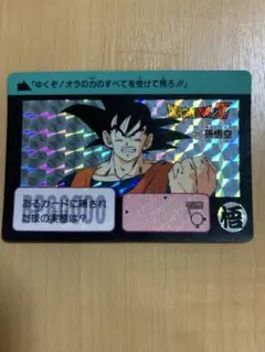 ドラゴンボールZ カードダス 1990年 No.211 孫悟空
