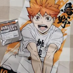 ハイキュー!! 合同練習会 選手ポスター 日向翔陽　2021