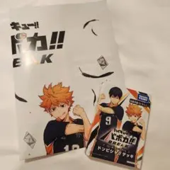 ハイキュー　ファンパーク　バボカ　BREAK　ドンピシャ　デッキ　来場者記念品