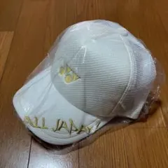 人気レア ヨネックス インターハイ 美品 帽子キャップ ソフトテニス