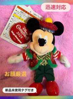 新品未使用♡ディズニークリスマス　ミッキーぬいぐるみバッジ