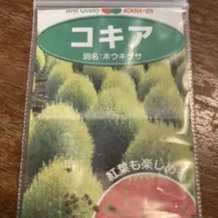 はるみかん様 リクエスト 4点 まとめ商品