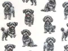 【ゆきちゃん限定】X2482-1 マルプー シルバー（グレー） 白 生地 1m