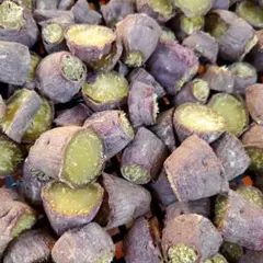 大量！鳴門金時干しいも端っこ繊維あり600g