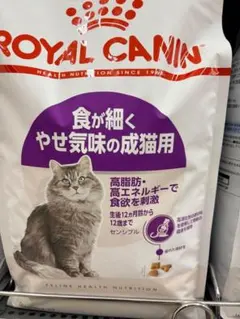 Item thumbnail for item 79042b9e-4165-4ee7-b213-430758483907