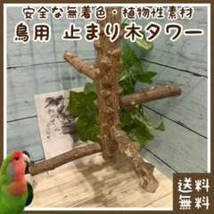 Item thumbnail for item 09f3f90c-97b3-4efb-8ab1-f292ee780761