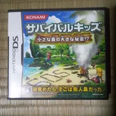 DSソフト　サバイバルキッズ