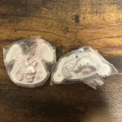 サンリオパッケージチャーム　シナモロール　ウィッシュミーメル