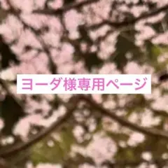 ヨーダ様専用ページ