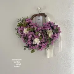 スターチス　ピンク　ミニハーフリース　コンパクト便