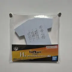 ハイキュー　烏野の未来　一番くじ H賞ダイカットメモ エースの心得 梟谷学園