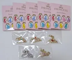 ディズニーストア プリンセス シークレットチャーム 5個 オーロラ姫 シンデレラ