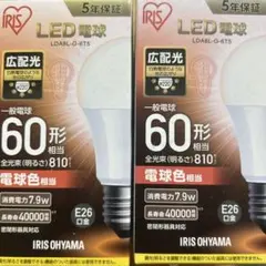IRIS OHYAMA LED電球 60形 電球色 2個セット