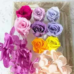 A75/504 薄花 ジニアのプリザーブドフラワー 花材セット 詰め合わせ