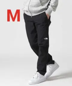 ノースフェイス アルパインライトパンツ メンズ ブラック M