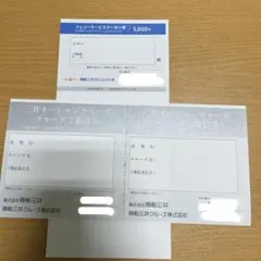 専用　フェリー、クルーズ株主優待券　さんふらわあ　日本丸　三井オーシャンフジのサムネイル