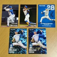 プロ野球チップス2025 日本ハムセット 箔押し
