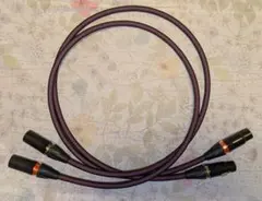 Item thumbnail for item 8e4def16-db27-41cb-a98a-aaf9080d48c7