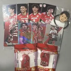 バレーボール 男子日本代表 セット