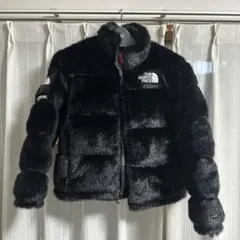 シュプリーム ザ ノースフェイス ダウン