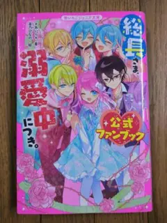 野いちごジュニア文庫 総長さま、溺愛中につき。公式ファンブック あいら茶乃ひなの