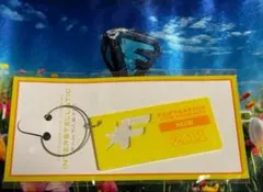 INTERSTELLATIC FANTASTIC三重限定 アクリルキーホルダー