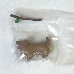 いい感じの棒をゲットした犬【ダックスフンド】