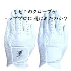 Item thumbnail for item e683e2af-15ee-48f6-b73d-78d8f8f7f5a5