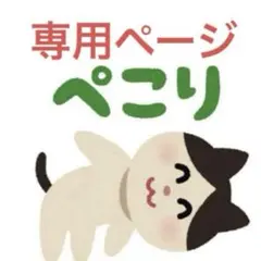 ポケモン　スタンプラリー　ジャンボカード　ピカチュウex スタンプ帳　2枚セット