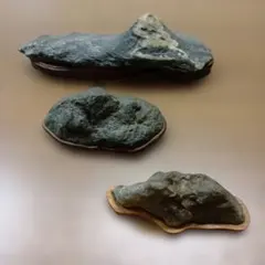 Artwork, decorative stones, bonsai, ornamental stones