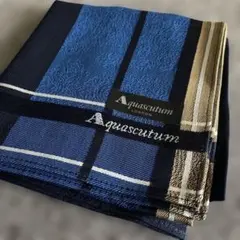 Aquascutum ハンカチ ブルー系 チェック柄のサムネイル