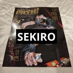 SEKIRO PASH10月号
