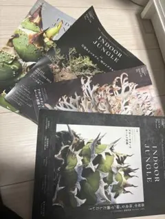 2026年最新】INDOOR JUNGLE（インドアジャングル） No.03の人気