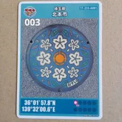 Item thumbnail for item 36441c78-737e-4a8f-9789-2d42796ee3bf