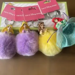 東京ディズニーリゾート ディズニープリンセスキーホルダー 4点セット