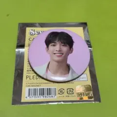 SEVENTEEN セブチ HANABI ドギョム マグネット