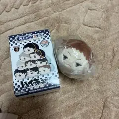 2026年最新】花巻貴大 ぬいぐるみの人気アイテム - メルカリ