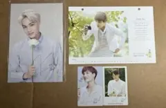 EXO 엑소 カイ 카이 Kai ネイリパ トレカ ポストカード セット - メルカリ