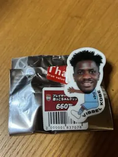 ヴィッセル神戸　抱っこちゃんクリップ