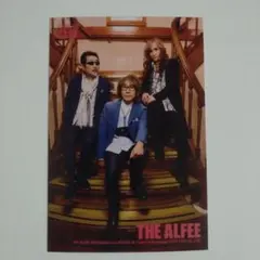 アルフィー／横浜スタジアムライブ ビデオ 新品 店頭告知ポスター