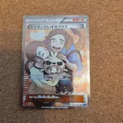 ポケモンだいすきクラブ SR XY2 ワイルドブレイズ 087/080 - メルカリ