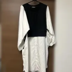 バルーンスリーブ長袖シャツワンピース　3L RIVIETTA