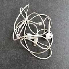 Lightning接続 ホワイト イヤフォン