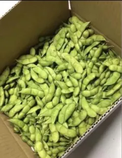 だだちゃ豆　B品　3キロのサムネイル