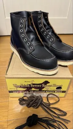 新品 10EE 中敷き付】9874 廃盤 アイリッシュセッター 木村拓哉