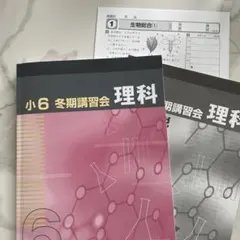 2026年最新】早稲田アカデミー 小3の人気アイテム - メルカリ