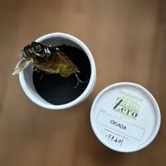 FCLLABO fcllabo KYジグ ナス特別カラー - メルカリ