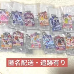 アイカツ だれでもアイドル活動アクリルチャーム3 全12種 ガチャ フルコンプ