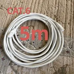 ホワイト LANケーブル cat6 カテゴリー6 5m