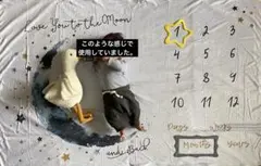 ニューボーンフォトマット 月 月齢フォトマット